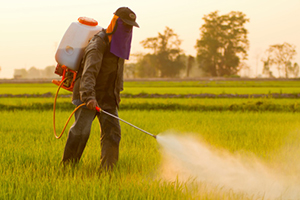 Intermedio de Pesticidas